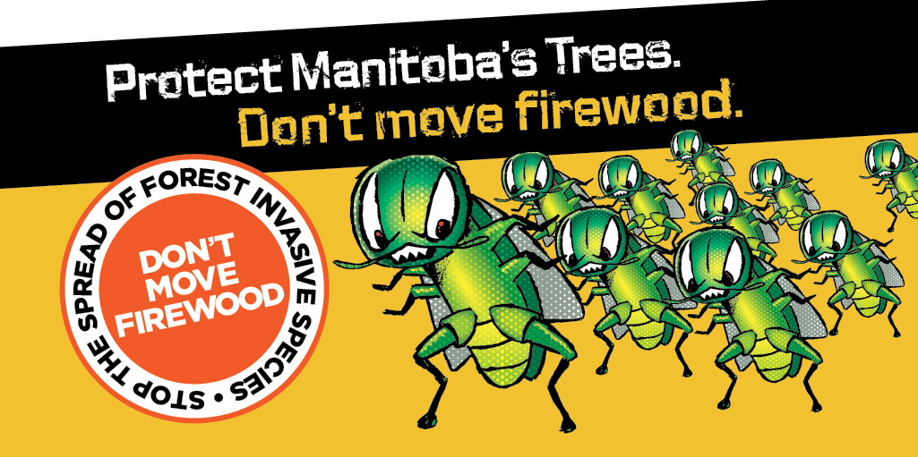 Protect Manitoba''s Trees. Don''t move firewood